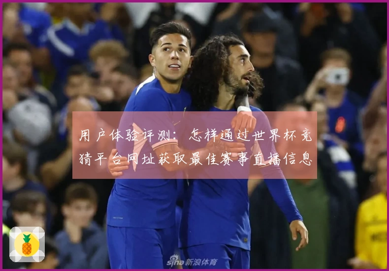 用户体验评测：怎样通过世界杯竞猜平台网址获取最佳赛事直播信息