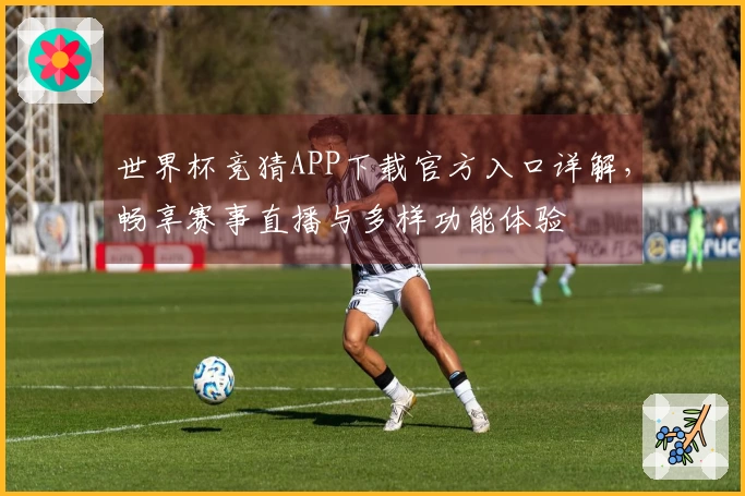 世界杯竞猜APP下载官方入口详解，畅享赛事直播与多样功能体验