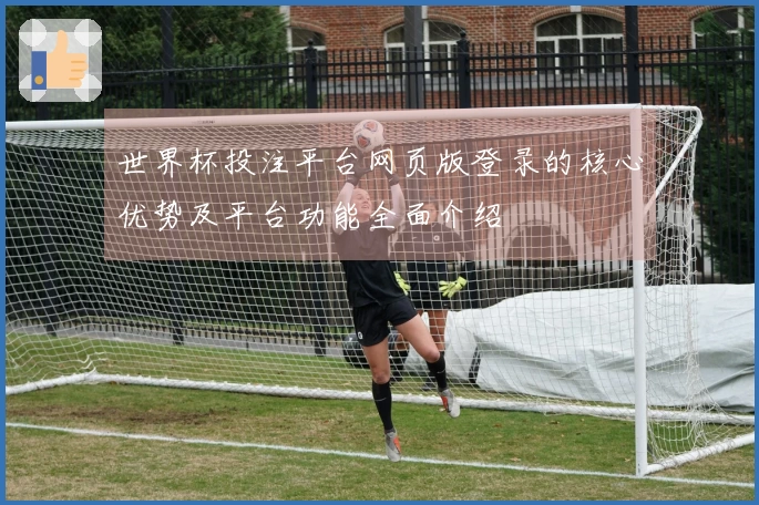 世界杯投注平台网页版登录的核心优势及平台功能全面介绍